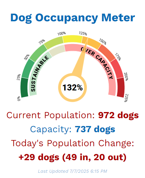 Dog Occupancy Meter